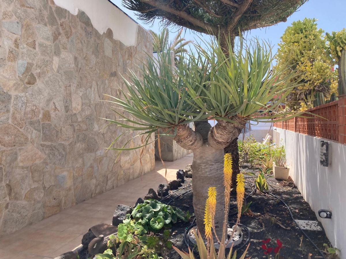 Beach House With The Heated Pool Next To Rocky Point Corralejo Eksteriør bilde